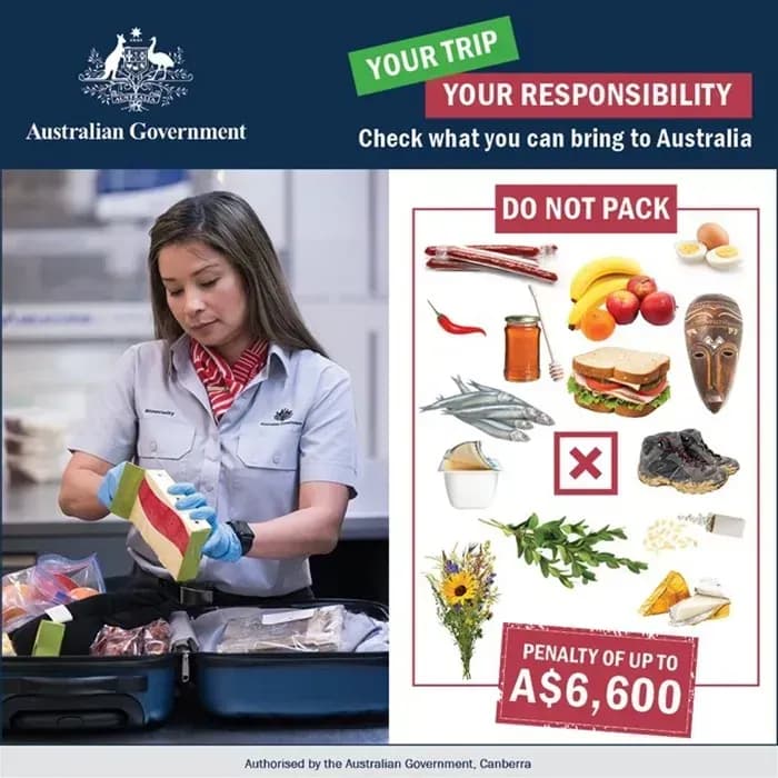 Australia siết chặt an ninh sinh học tại sân bay