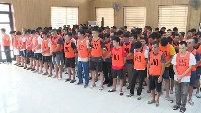  Việt Nam triệt phá trường gà quốc tế, bắt giữ 205 đối tượng