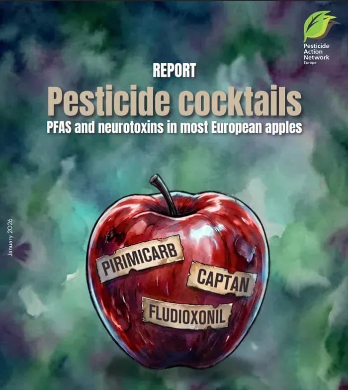 85% táo châu Âu nhiễm thuốc bảo vệ thực vật?