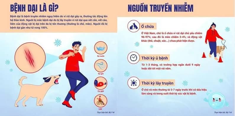 Việt Nam: Nhiều ca tử vong do bệnh dại vì chủ quan không tiêm vaccine
