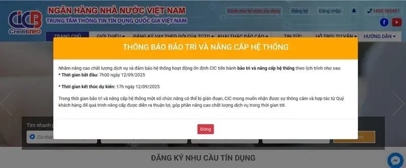 Việt Nam: Tội phạm mạng tấn công CIC